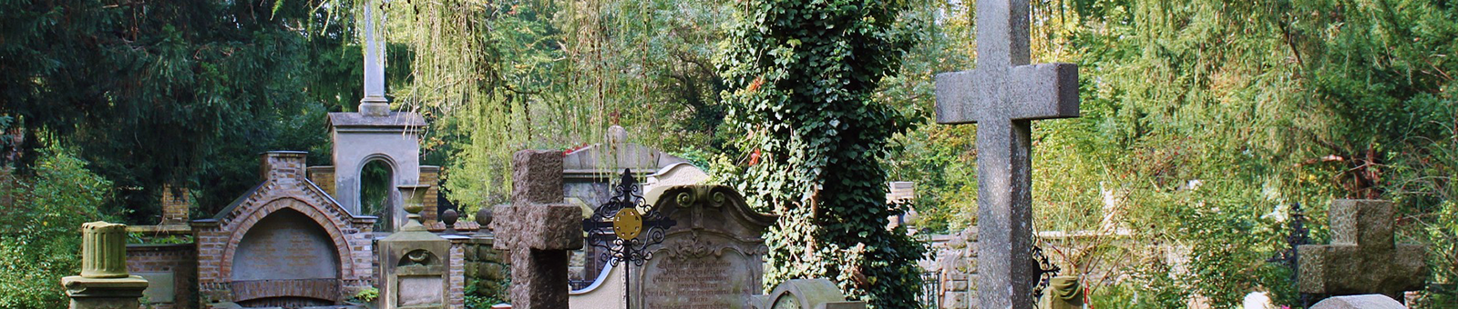 headstones in a cemetery