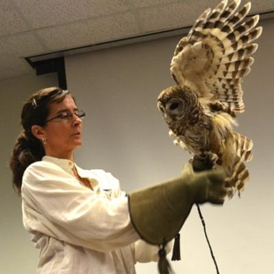 Mary Anne Morris (Wild Bird Adventures) holds an owl