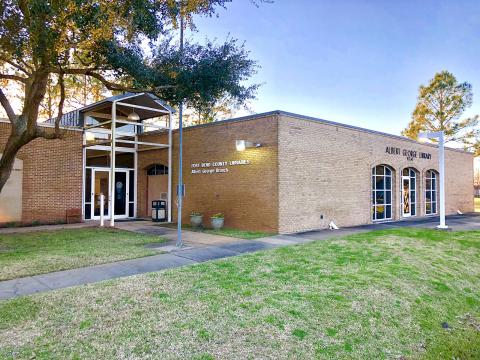 Picture of the Albert George Branch Library