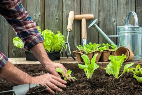 gardening