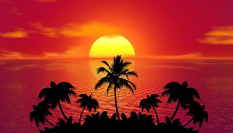 tropical sunset