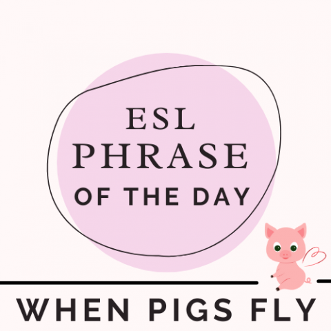 ESL PHRASE OF THE DAY