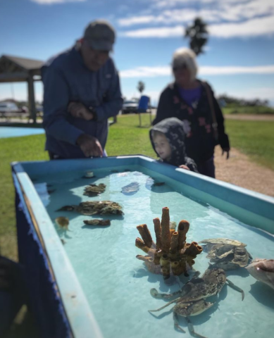 Family with sea touch tank