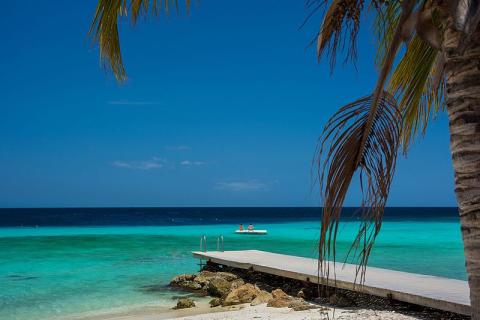 A beach, pier, and palm trees with the Caribbean Sea in the distance.