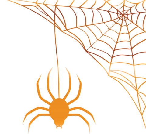 illustration of spider and web