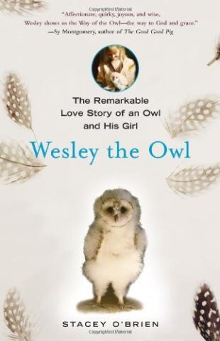 Wesley the Owl cover thumbnail