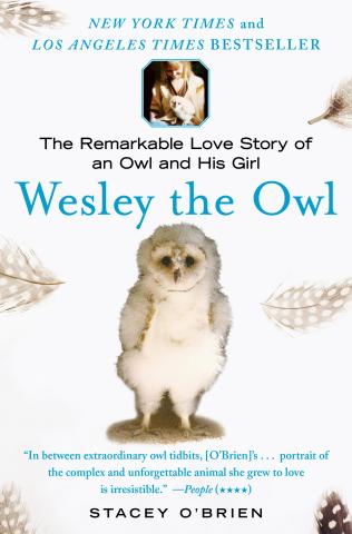 book cover for the book "Wesley the Owl" by Stacey O'Brien