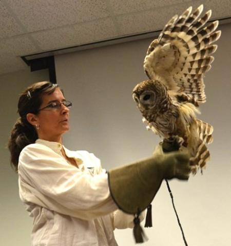 Mary Anne Morris (Wild Bird Adventures) holds an owl