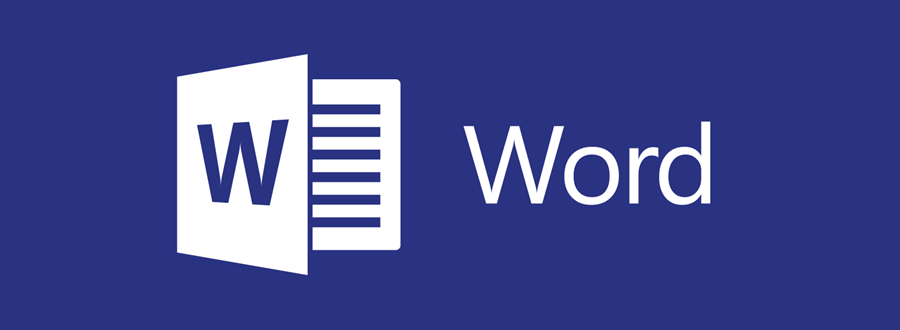 ms word