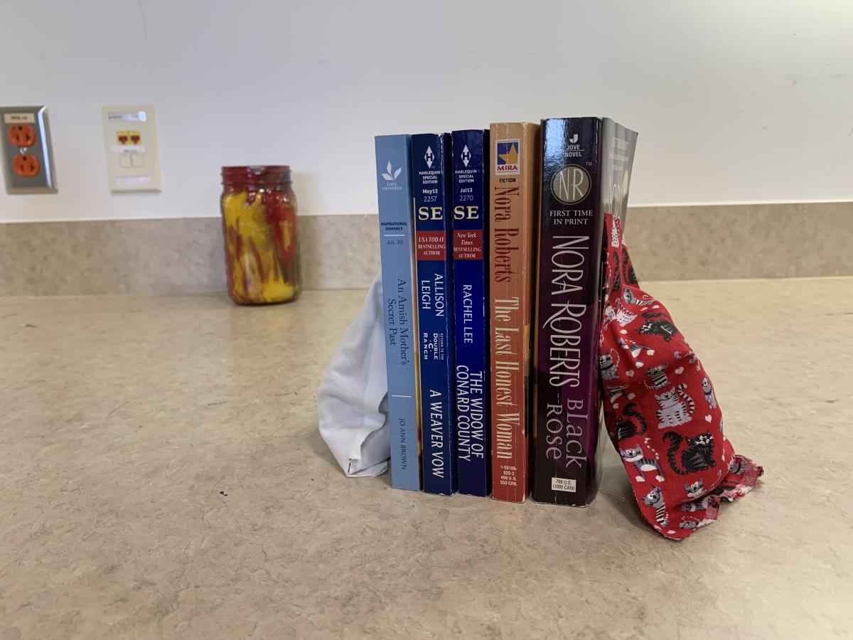 Two bean bag book ends holding up some books