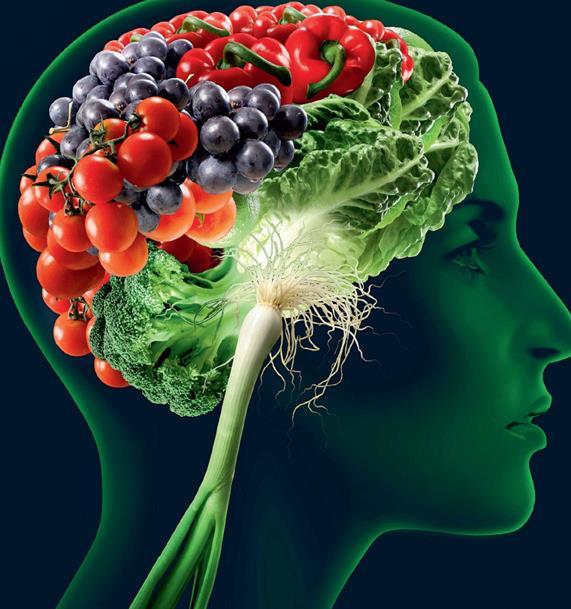 image of brain made up of fruits and vegetables